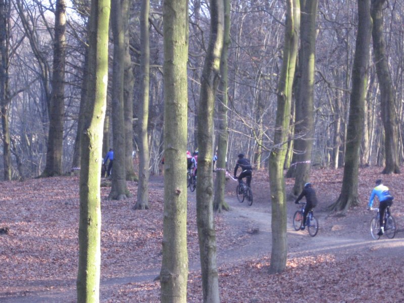 atbdag1422009016.jpg