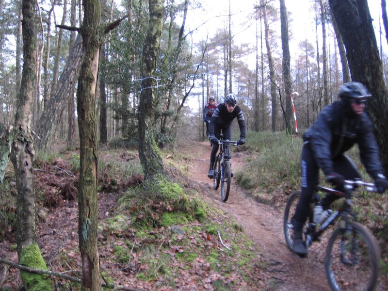 atbdag1422009028.jpg