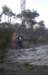 ron3209_small.jpg