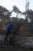 ron3294_small.jpg