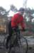 ron3299_small.jpg