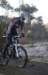 ron3353_small.jpg