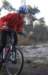 ron3358_small.jpg