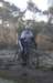 ron3515_small.jpg