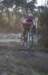 ron3658_small.jpg