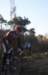 ron3680_small.jpg