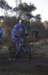 ron3684_small.jpg