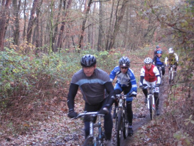 veldt2008002.jpg