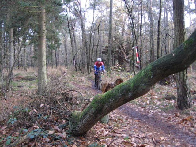 veldt2008008.jpg