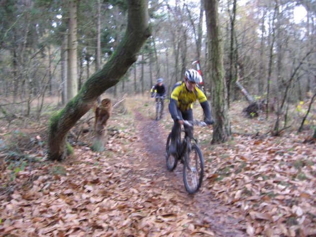 veldt2008011.jpg