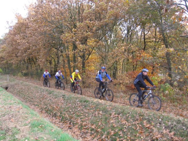 veldt2008013.jpg