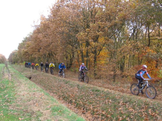 veldt2008015.jpg