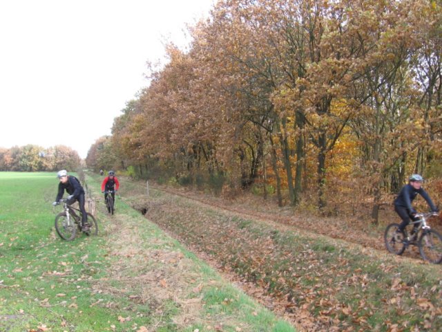 veldt2008016.jpg