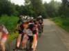 wout460_small.jpg