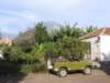 lapalma012_small.jpg