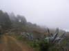 lapalma021_small.jpg