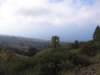 lapalma035_small.jpg