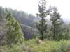 lapalma036_small.jpg