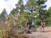 lapalma037_small.jpg