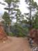 lapalma043_small.jpg