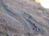 lapalma056_small.jpg