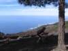 lapalma065_small.jpg