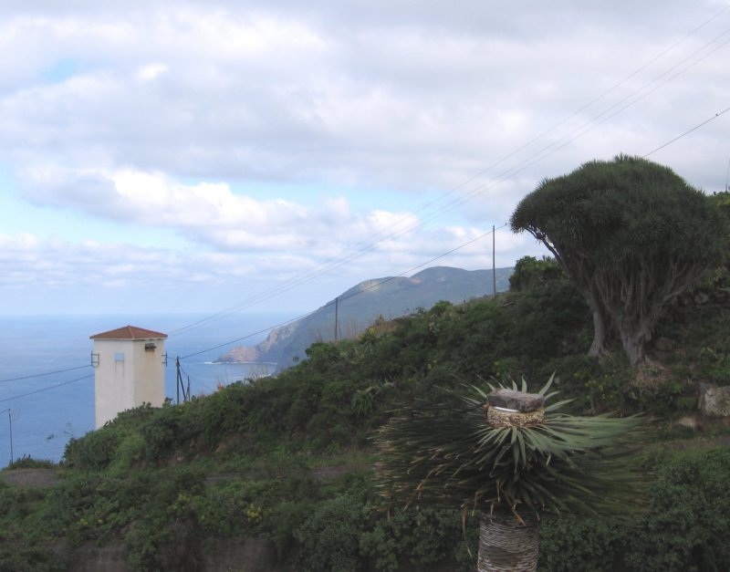 lapalma083a.jpg