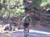 lapalma091_small.jpg