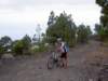 lapalma2007j026_small.jpg
