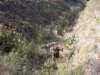 lapalma2007j083_small.jpg