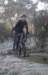 ron3181_small.jpg