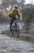 ron3187_small.jpg