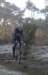 ron3243_small.jpg