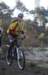 ron3396_small.jpg