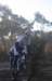 ron3463_small.jpg