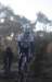 ron3464_small.jpg