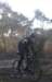 ron3465_small.jpg