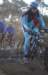 ron3531_small.jpg