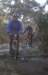 ron3533_small.jpg
