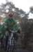 ron3576_small.jpg