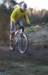 ron3703_small.jpg