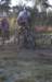 ron3720_small.jpg