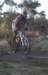 ron3724_small.jpg