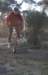 ron3725_small.jpg
