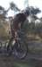 ron3740_small.jpg