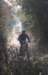 ron3814_small.jpg