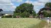 daagse2011069_small.jpg