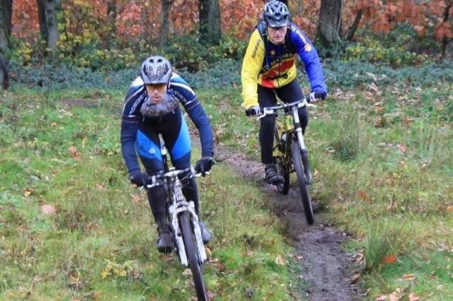 img_31681.jpg