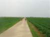 wout475_small.jpg