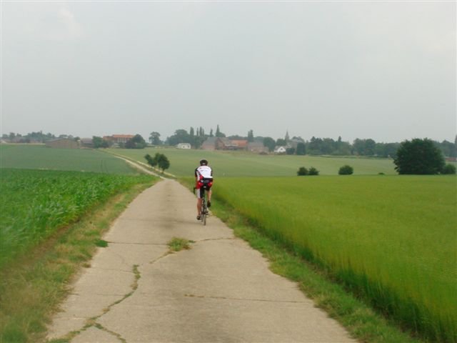 wout480.jpg